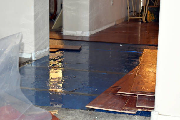 Professional Basement Flood Cleanup technician working in Newalla, OK
